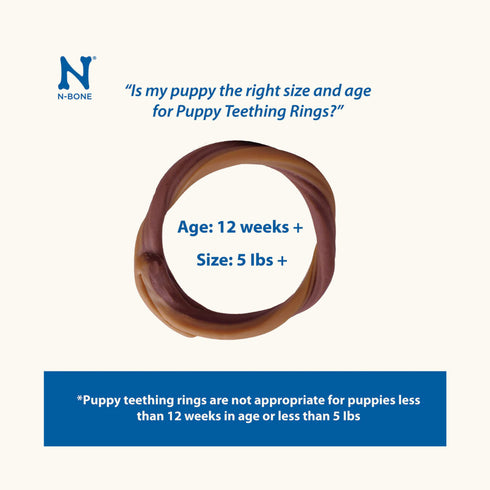 NPIC N-Bone Puppy Teething Ring Pumpkin Flavour Dog Treats- 34 g
